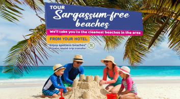 sargassum free beach